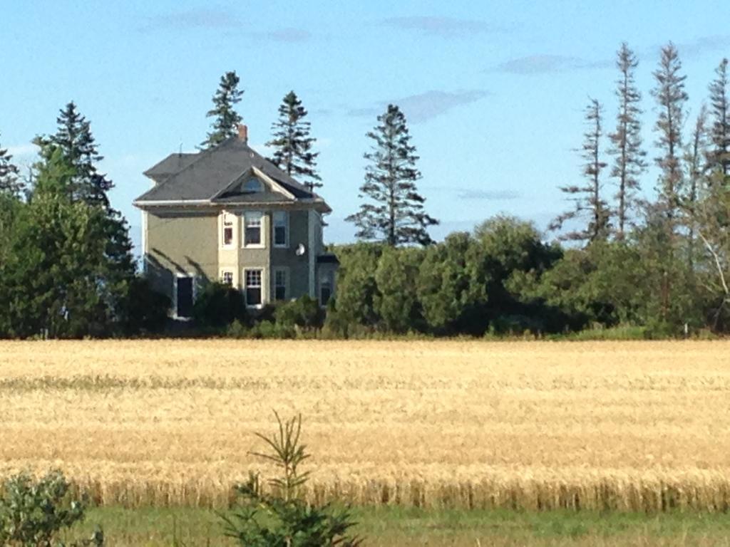 Briarcliffe Inn Bedeque Buitenkant foto